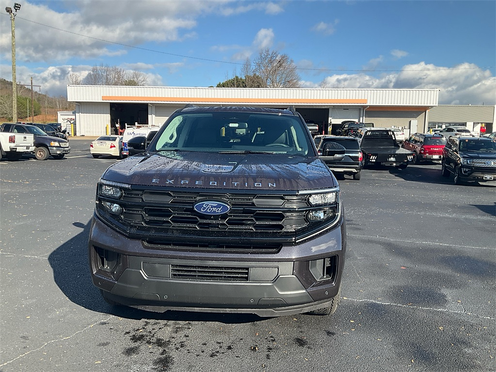 New 2025 Ford Expedition - photo 2