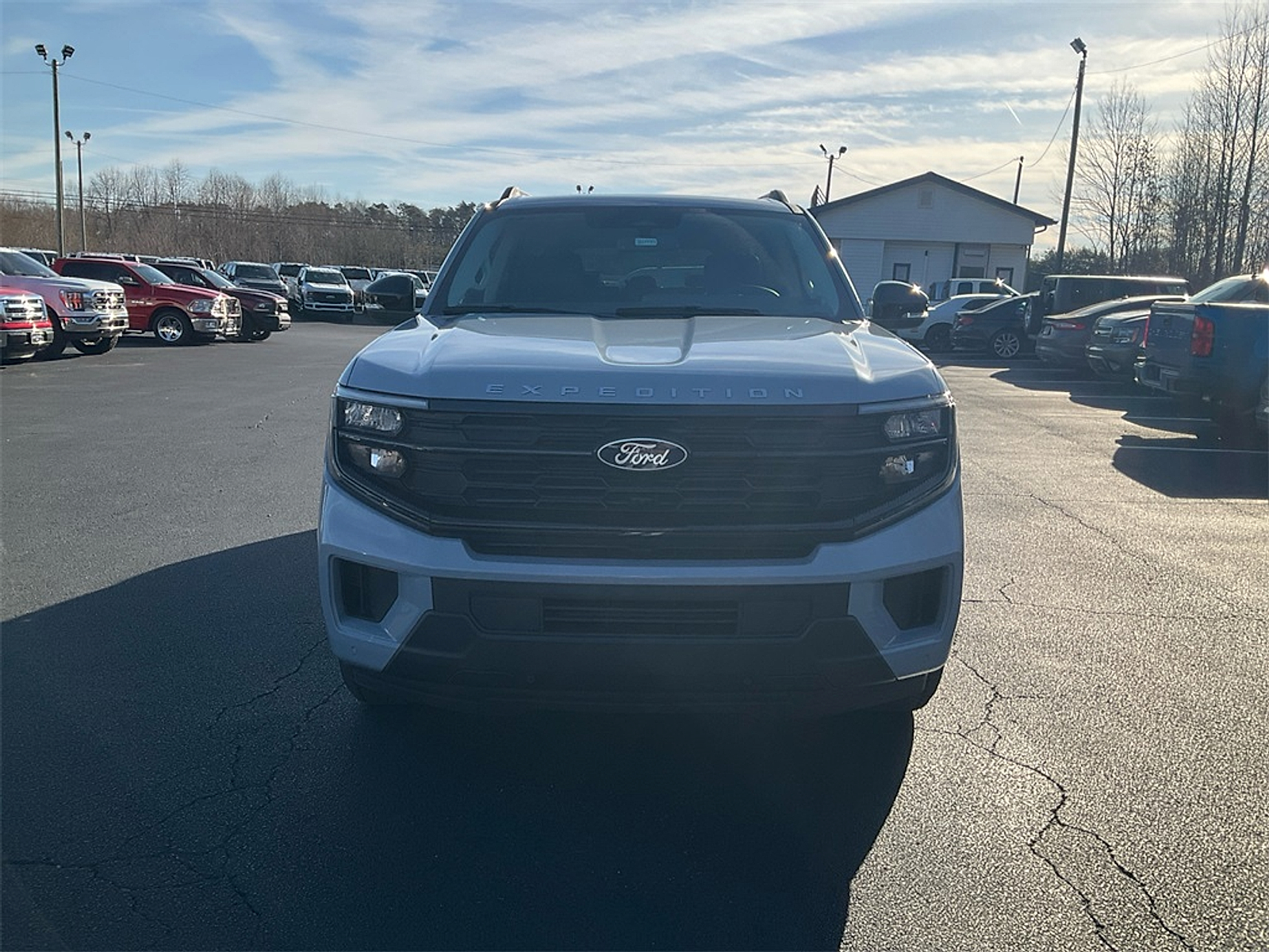New 2026 Ford Expedition MAX - photo 2