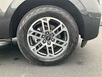 New 2026 Ford Expedition ACTIV thumbnail 9