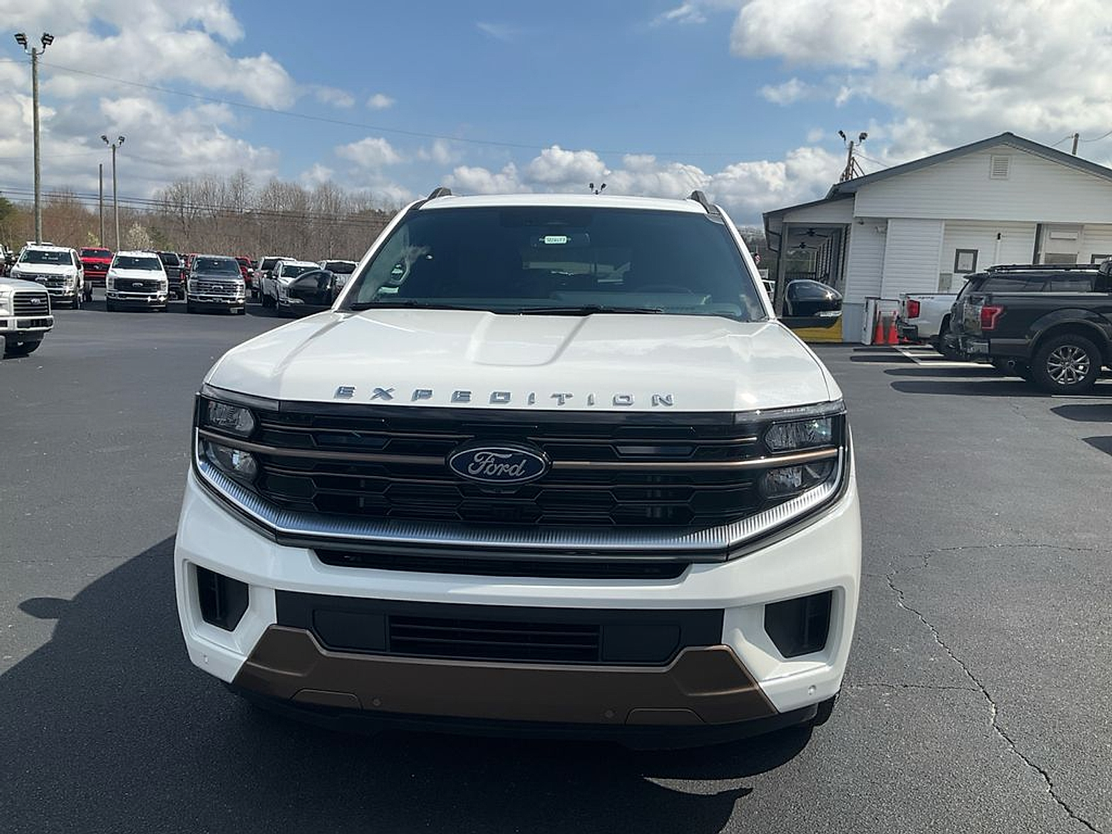 New 2026 Ford Expedition - photo 2