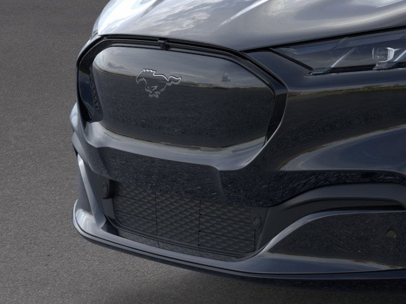 New 2025 Ford Mustang Mach-E Premium - photo 17