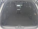New 2026 Ford Explorer Tremor thumbnail 6